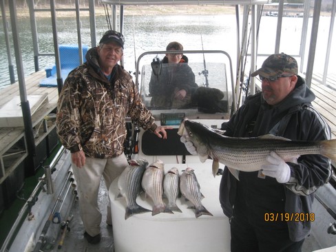 Nice Striped Bass